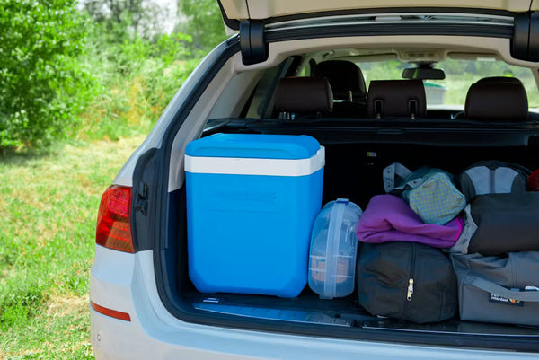 Hladilna skrinja Campingaz - Icetime Plus 26 L
