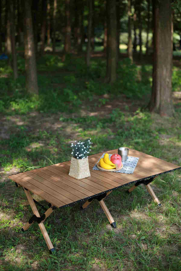 Zložljiva aluminijasta miza z lesenim videzom Egg Roll 120 -  velika