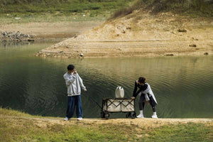 Zložljivi voziček za na plažo – Sandy Brown Pro